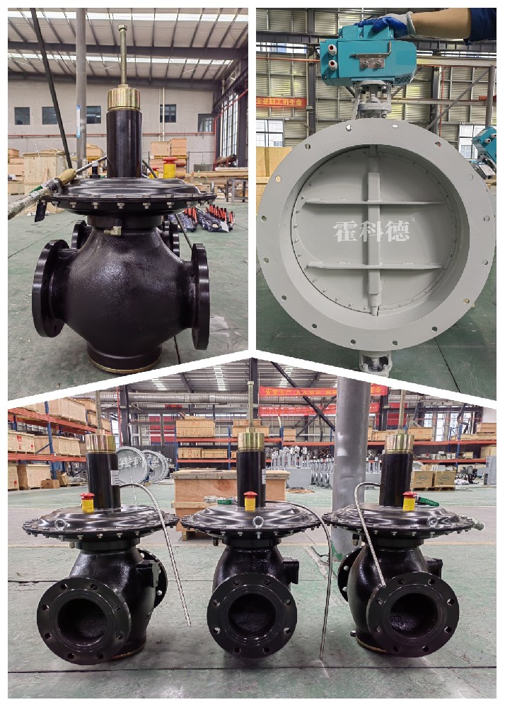 745單河北省（shěng）張家口市氣體處理項目 拷貝.jpg